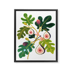 Summer Figs Framed Canvas Print Gallery Image 6