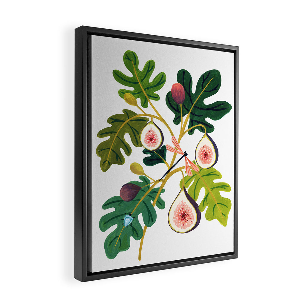 Summer Figs Framed Canvas Print Gallery Image 2