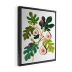 Summer Figs Framed Canvas Print Gallery Image 2