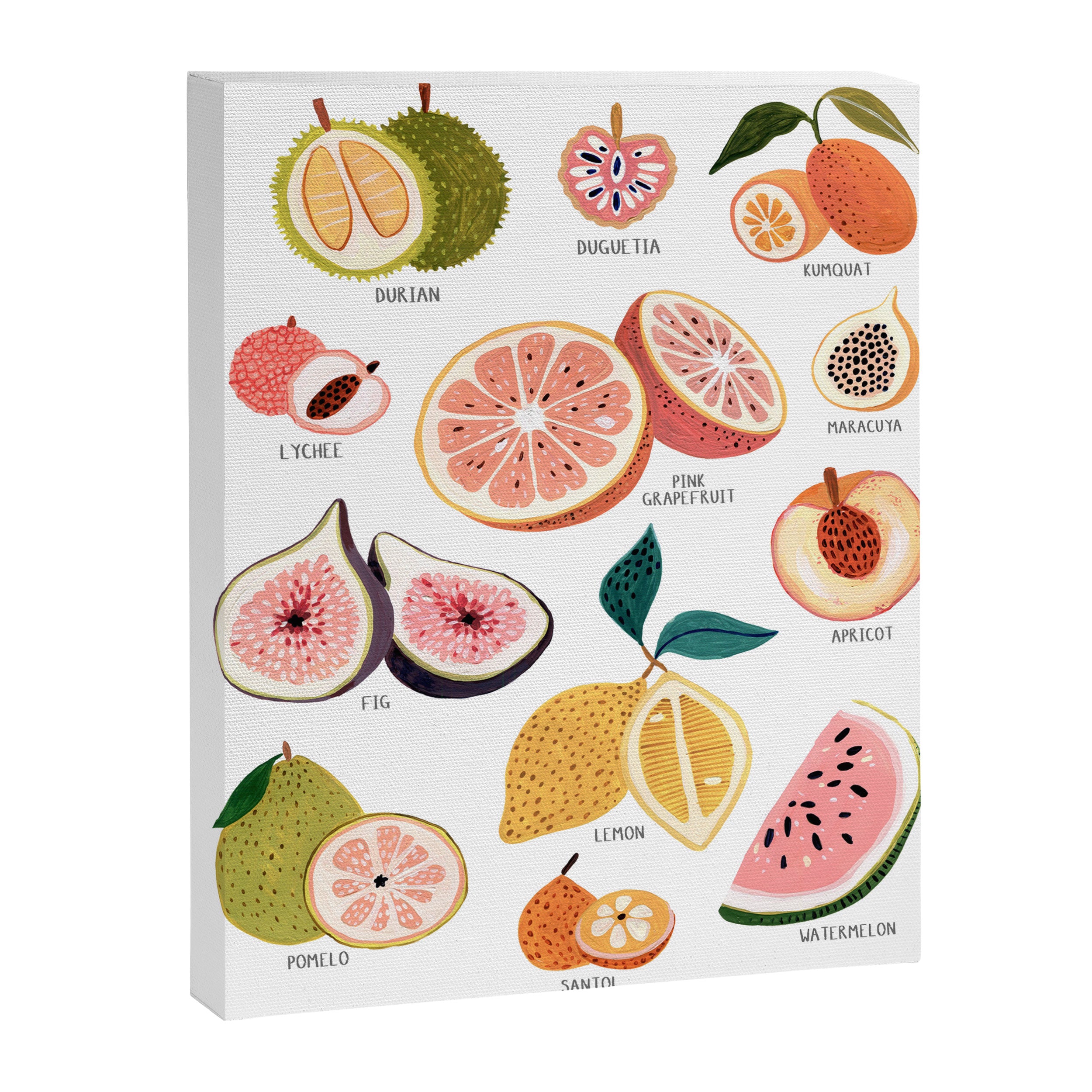 Summer Fruits Canvas Print Gallery Image 6