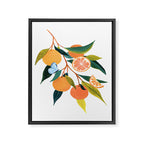 Summer Oranges Framed Canvas Print Gallery Image 6
