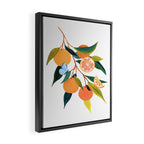 Summer Oranges Framed Canvas Print Gallery Image 2