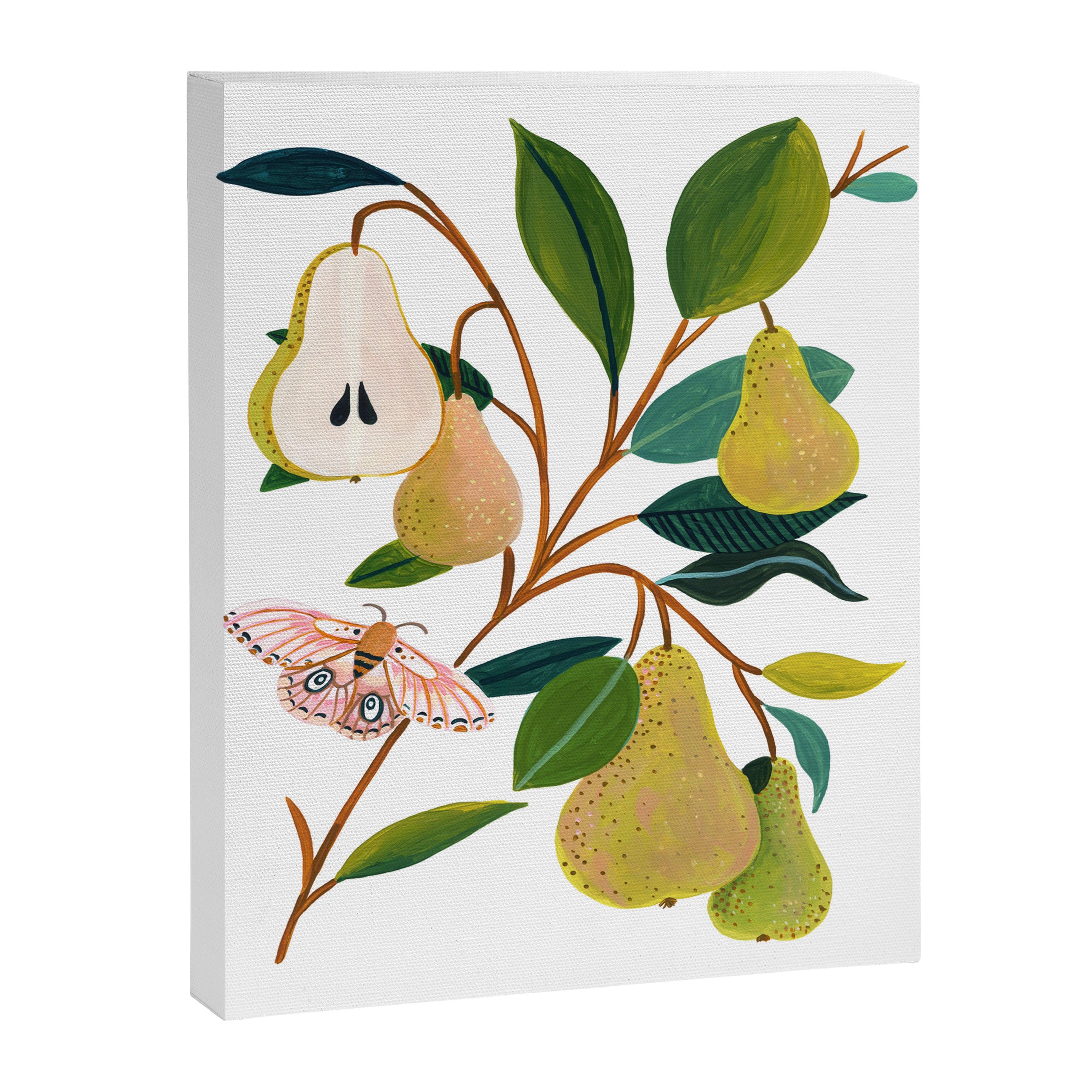Summer Pear Canvas Print Gallery Image 6