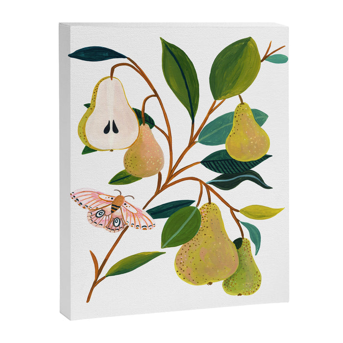 Summer Pear Canvas Print Gallery Image 1