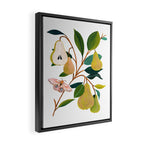 Summer Pear Framed Canvas Print Gallery Image 2