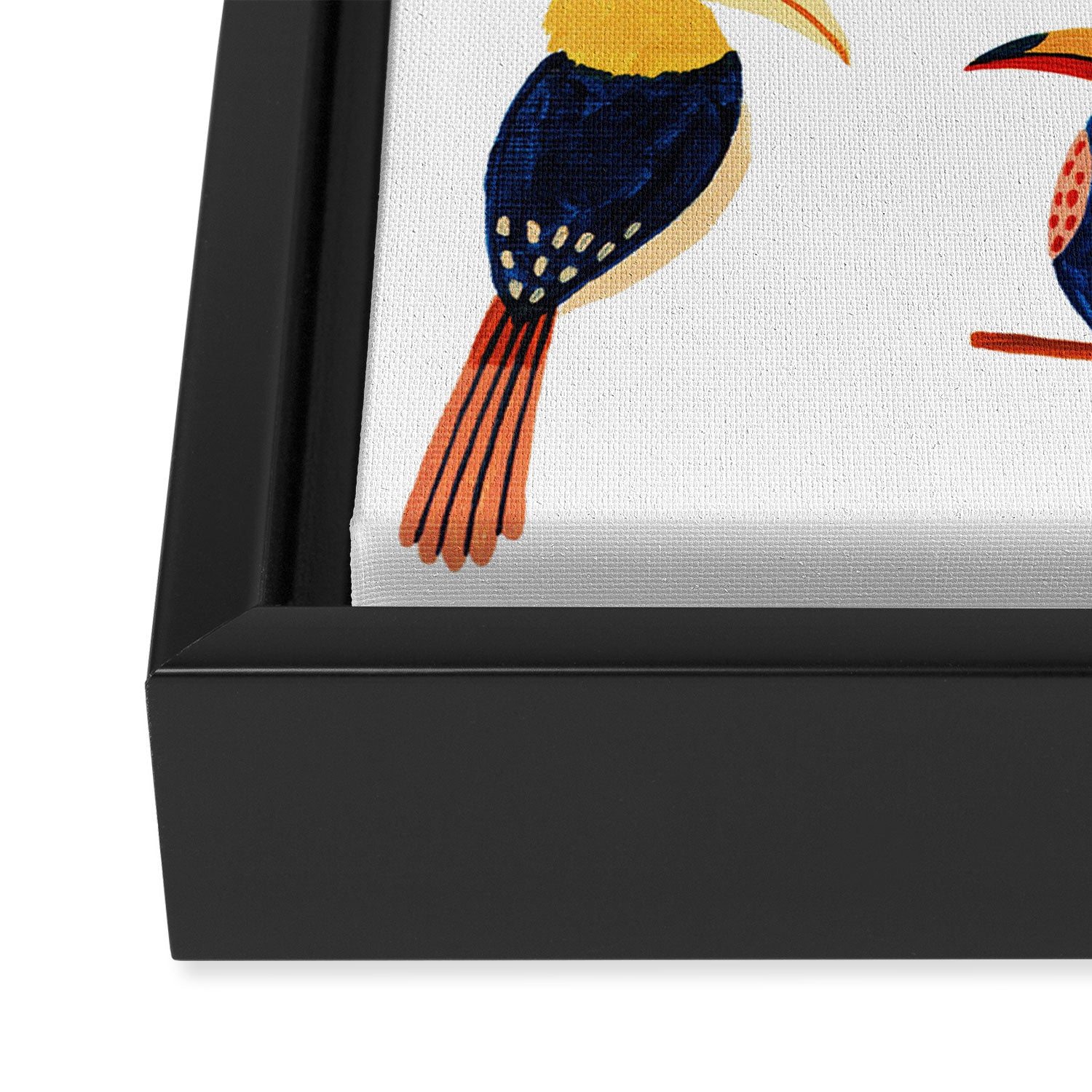 Tropical Jungle Birds Framed Canvas Print Gallery Image 3