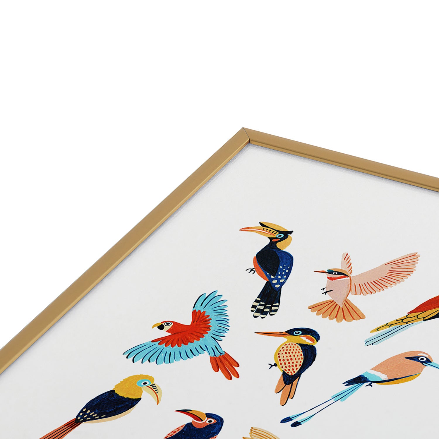 Tropical Jungle Birds Framed Art Print Gallery Image 3