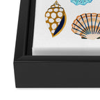 Under the Sea Shells Framed Canvas Print Gallery Image 3