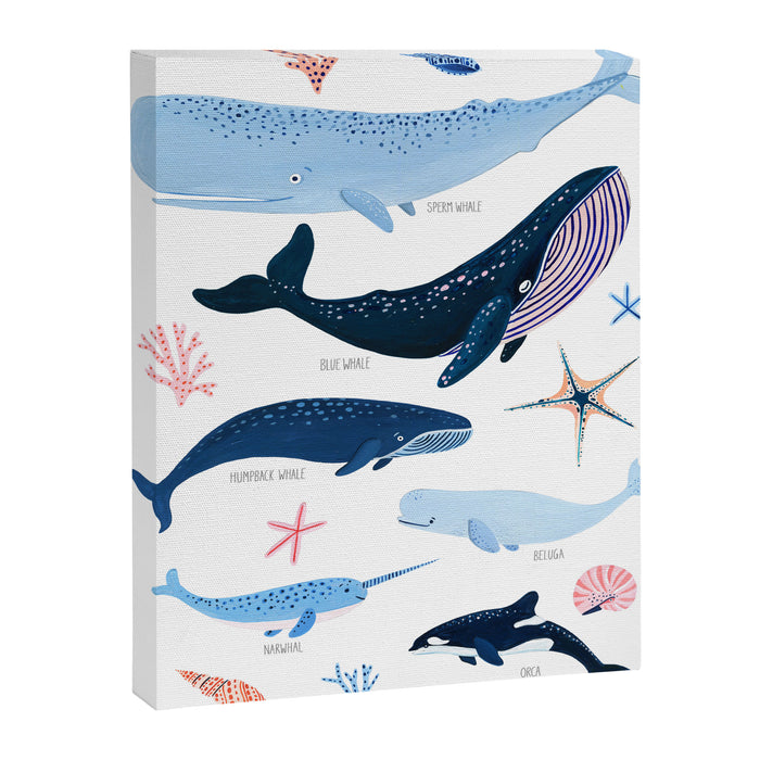 Whale Species Canvas Print Gallery Image 1