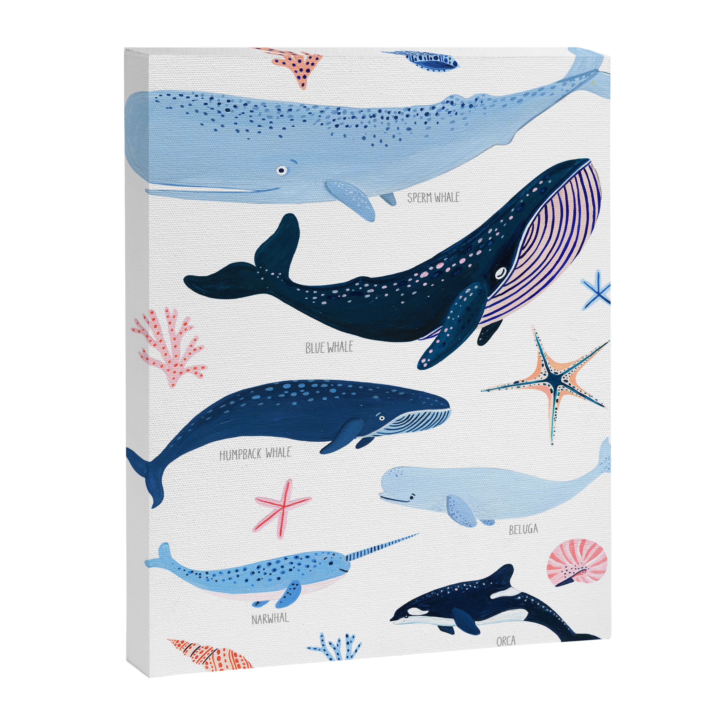 Whale Species Canvas Print Gallery Image 3