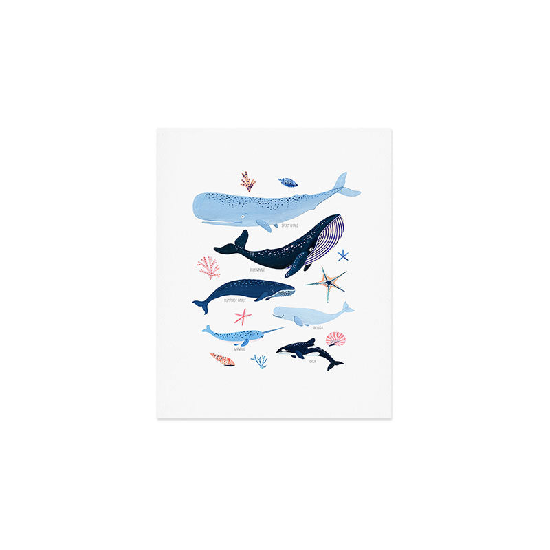 Whale Species Art Print Gallery Image 1