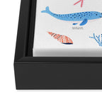 Whale Species Framed Canvas Print Gallery Image 3