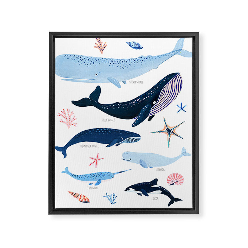 Whale Species Framed Canvas Print Gallery Image 6