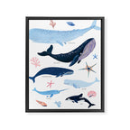 Whale Species Framed Canvas Print Gallery Image 6