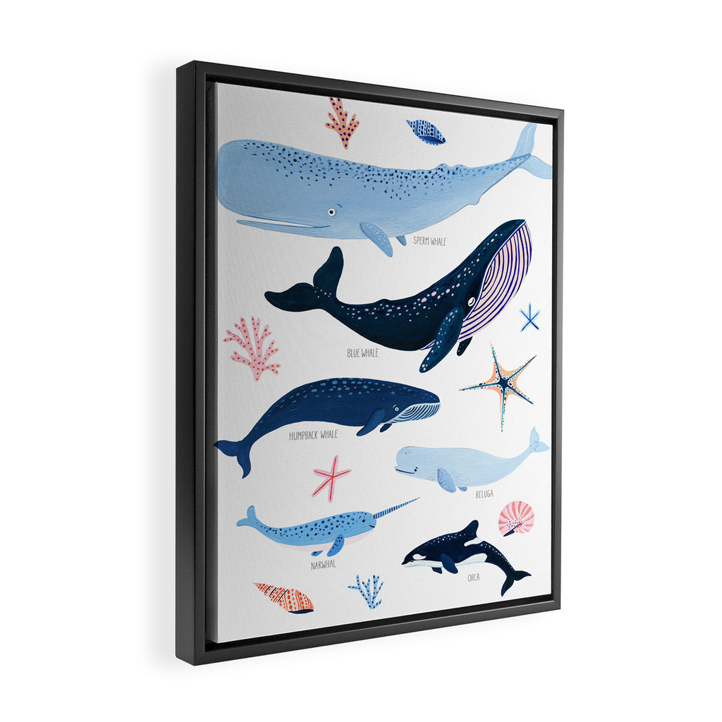 Whale Species Framed Canvas Print Gallery Image 2
