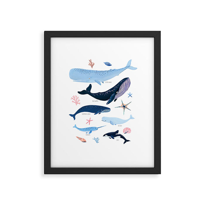 Whale Species Framed Art Print Gallery Image 1