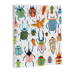 Woodland Beetles Canvas Print Gallery Image 6