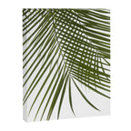 Palm Leaves I Canvas Print Gallery Image 6