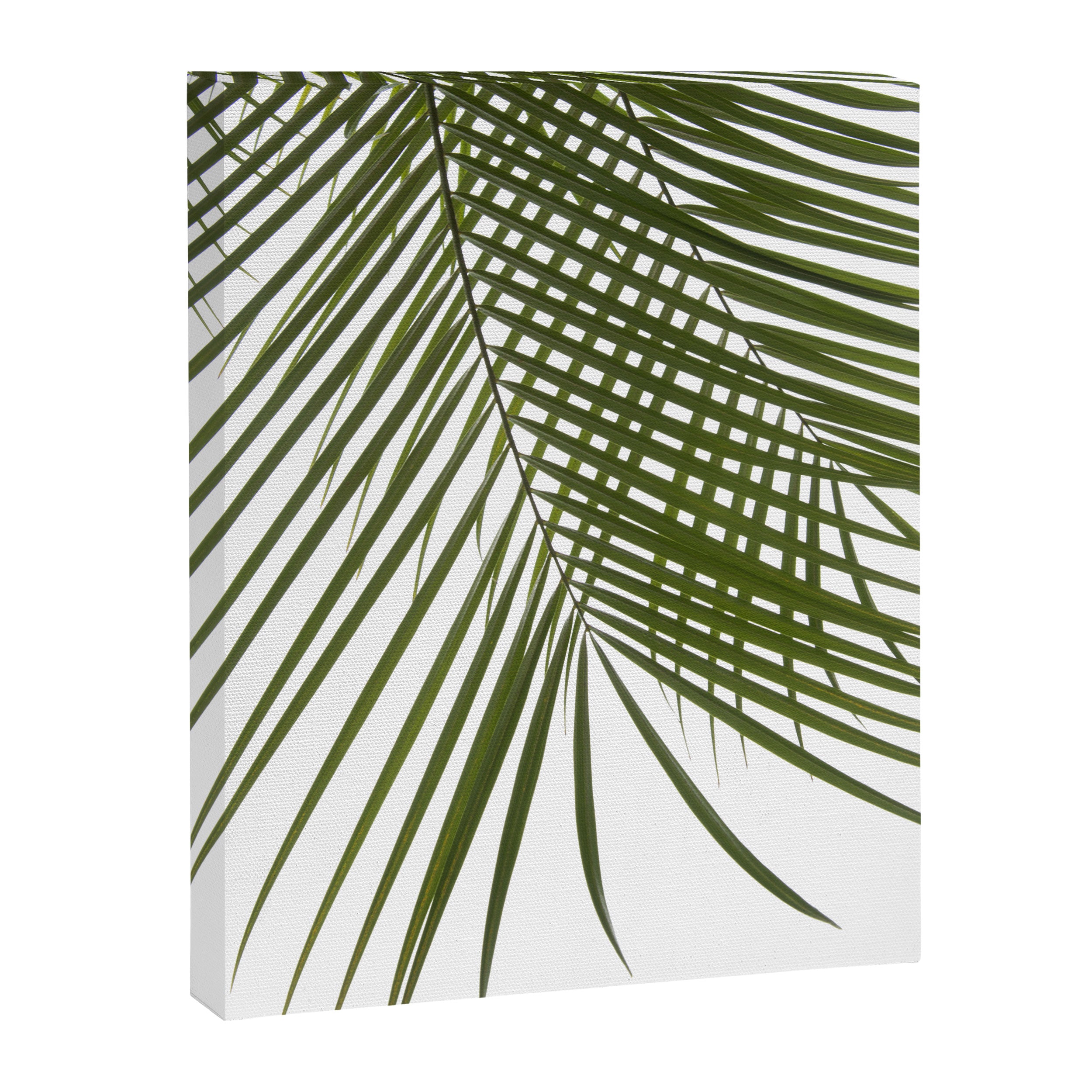 Palm Leaves I Canvas Print Gallery Image 6