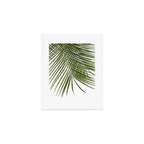 Palm Leaves I Art Print Gallery Image 1