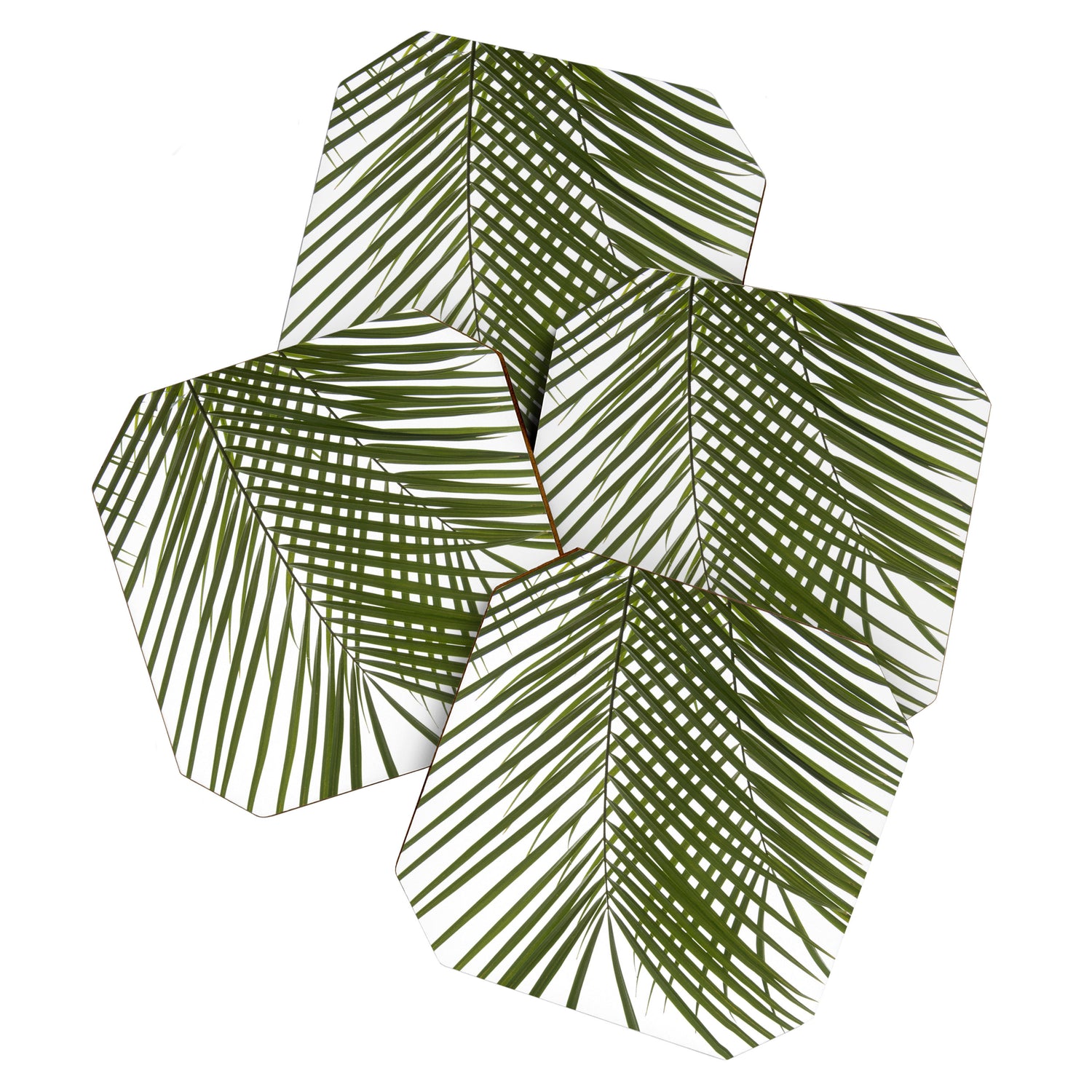 Palm Leaves I Coaster Gallery Image 1