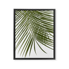 Palm Leaves I Framed Canvas Print Gallery Image 6