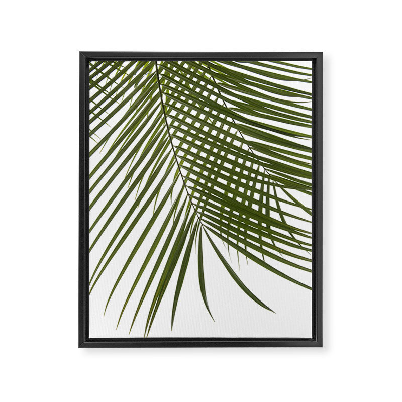 Palm Leaves I Framed Canvas Print Gallery Image 6