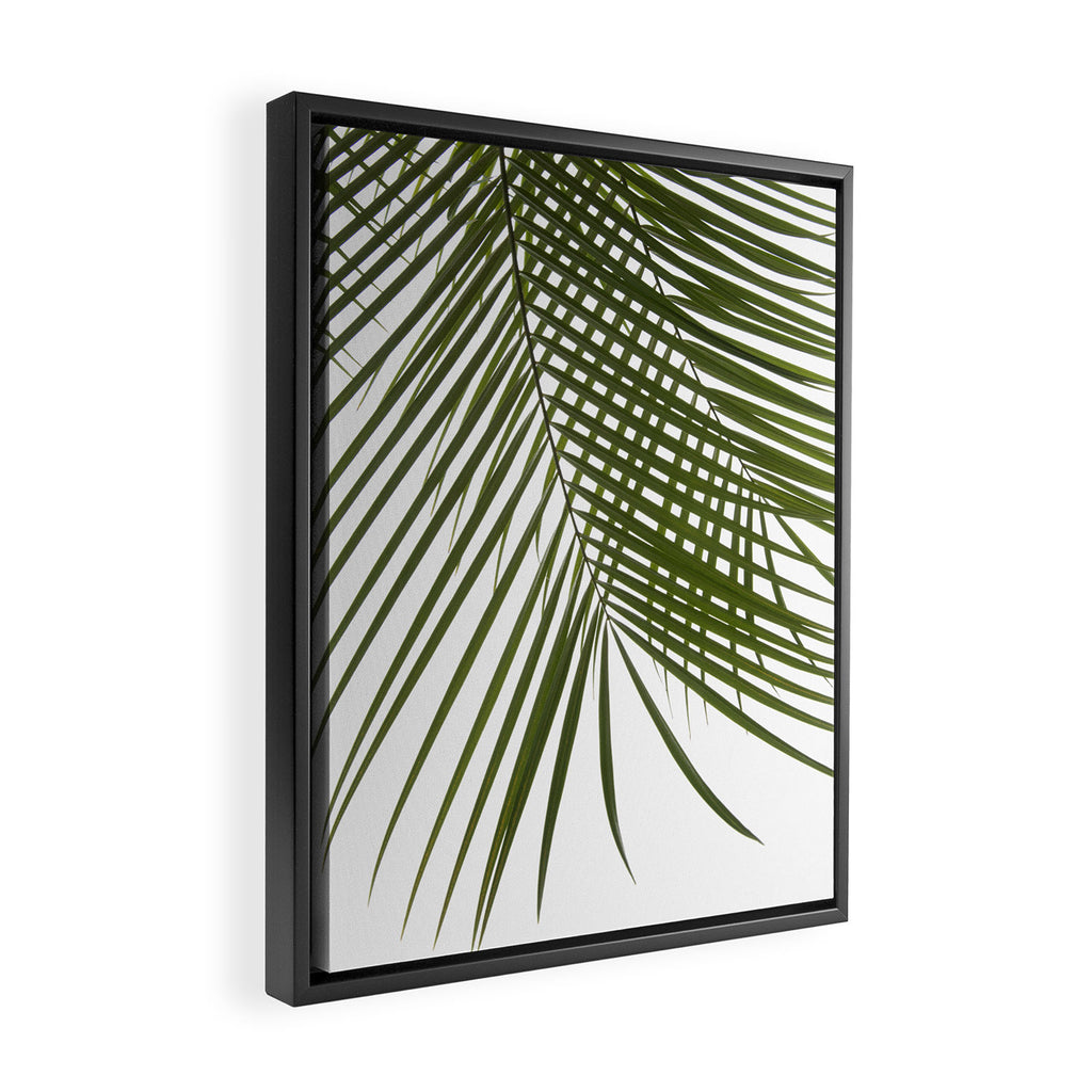 Palm Leaves I Framed Canvas Print Gallery Image 2