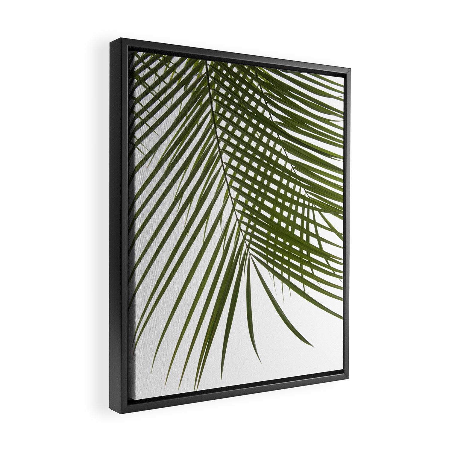 Palm Leaves I Framed Canvas Print Gallery Image 2