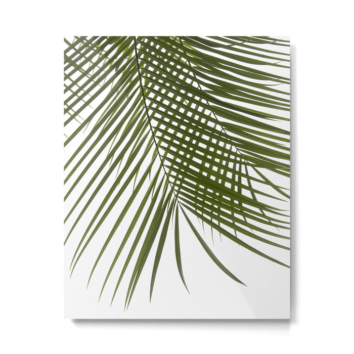 Palm Leaves I Metal Print Gallery Image 1