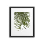 Palm Leaves I Framed Art Print Gallery Image 5