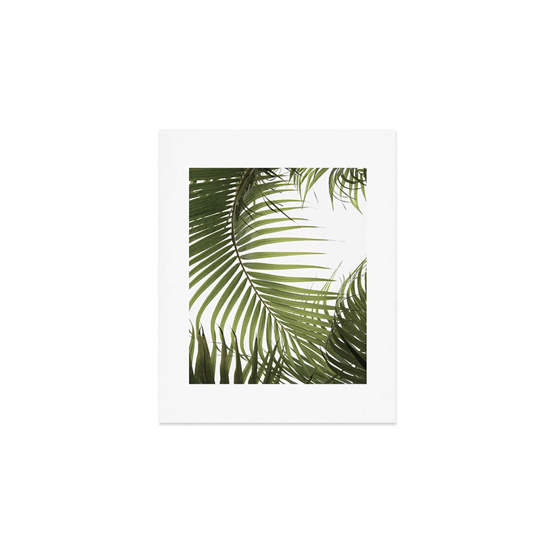 Palm Leaves Photo 01 Art Print Gallery Image 1