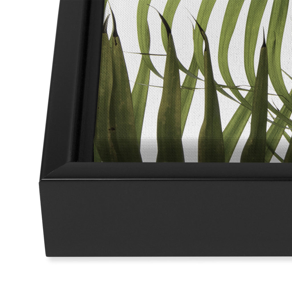 Palm Leaves Photo 01 Framed Canvas Print Gallery Image 3