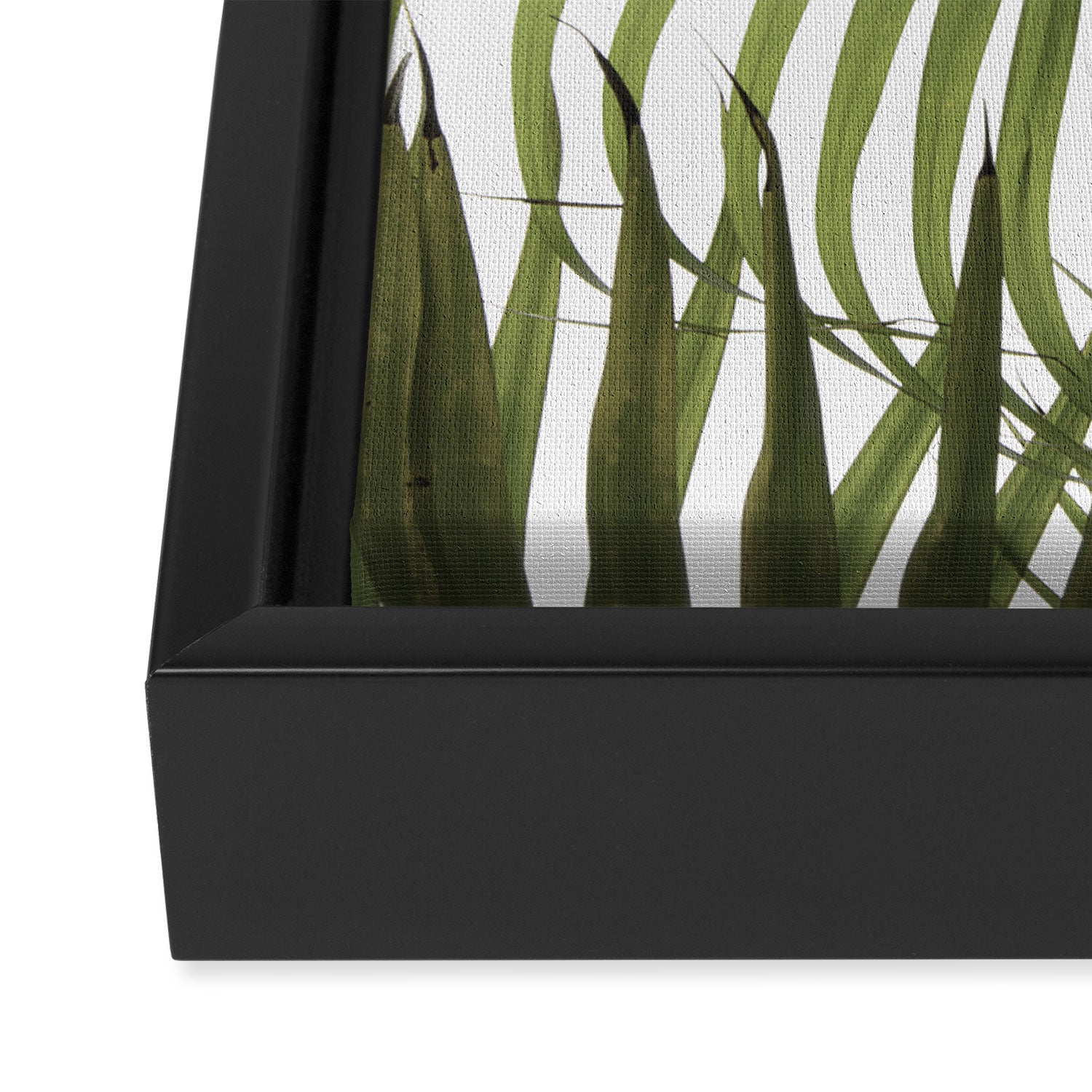Palm Leaves Photo 01 Framed Canvas Print Gallery Image 3