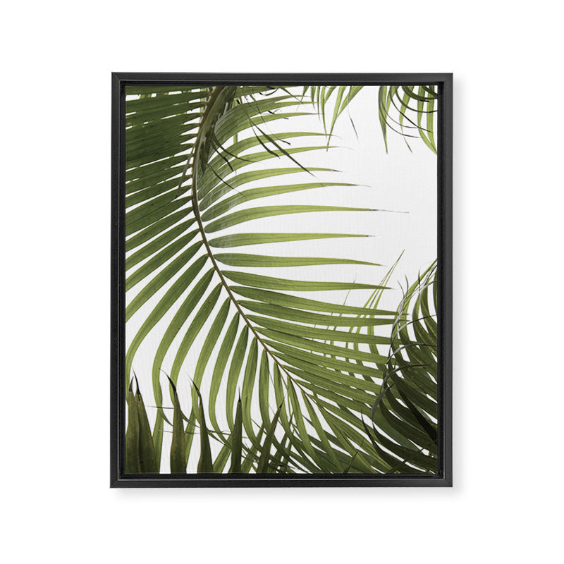 Palm Leaves Photo 01 Framed Canvas Print Gallery Image 6