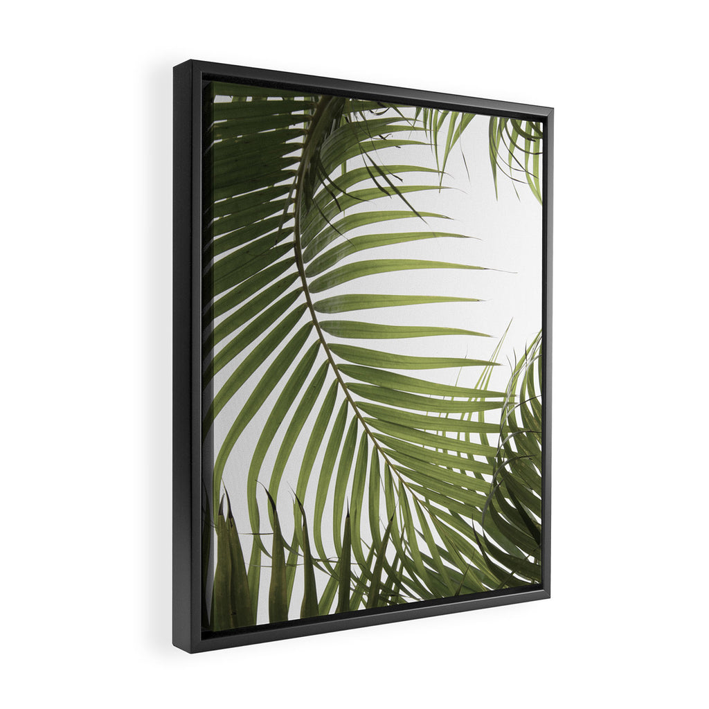 Palm Leaves Photo 01 Framed Canvas Print Gallery Image 2