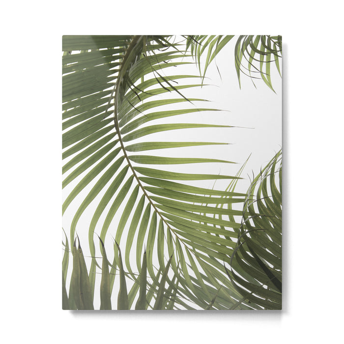 Palm Leaves Photo 01 Metal Print Gallery Image 1