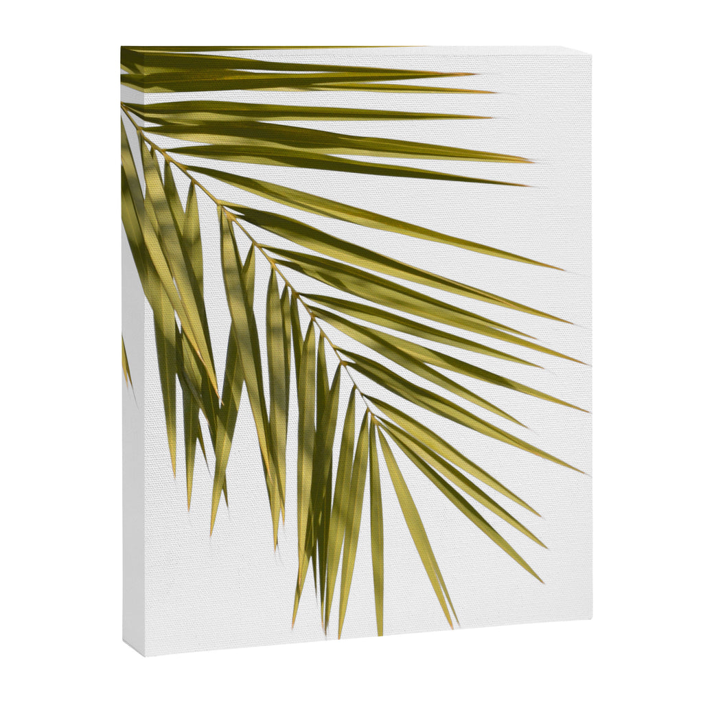 Palm Leaves V Canvas Print Gallery Image 6