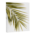 Palm Leaves V Canvas Print Gallery Image 6