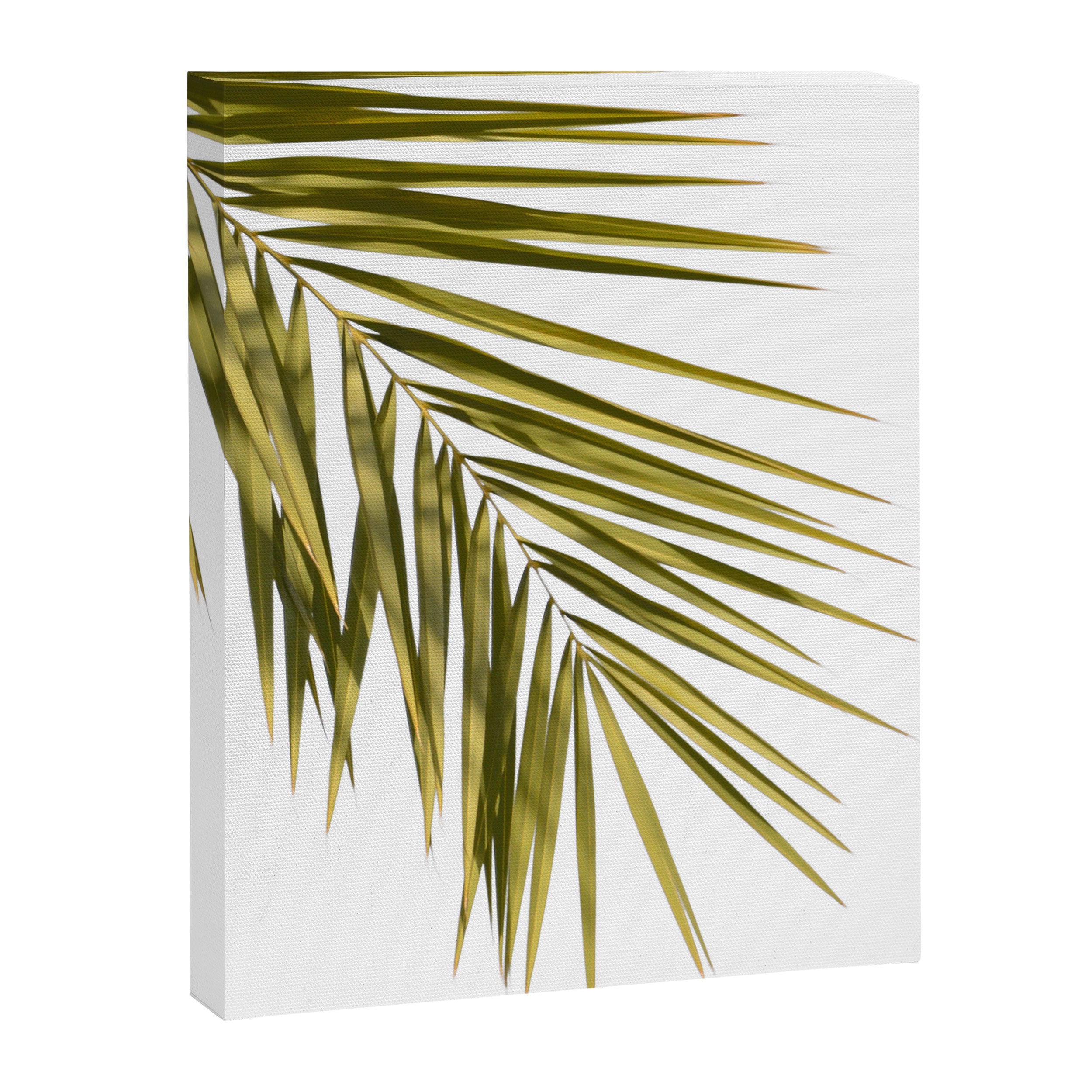 Palm Leaves V Canvas Print Gallery Image 6