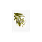 Palm Leaves V Art Print Gallery Image 1