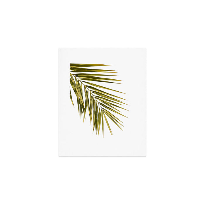 Palm Leaves V Art Print Gallery Image 1