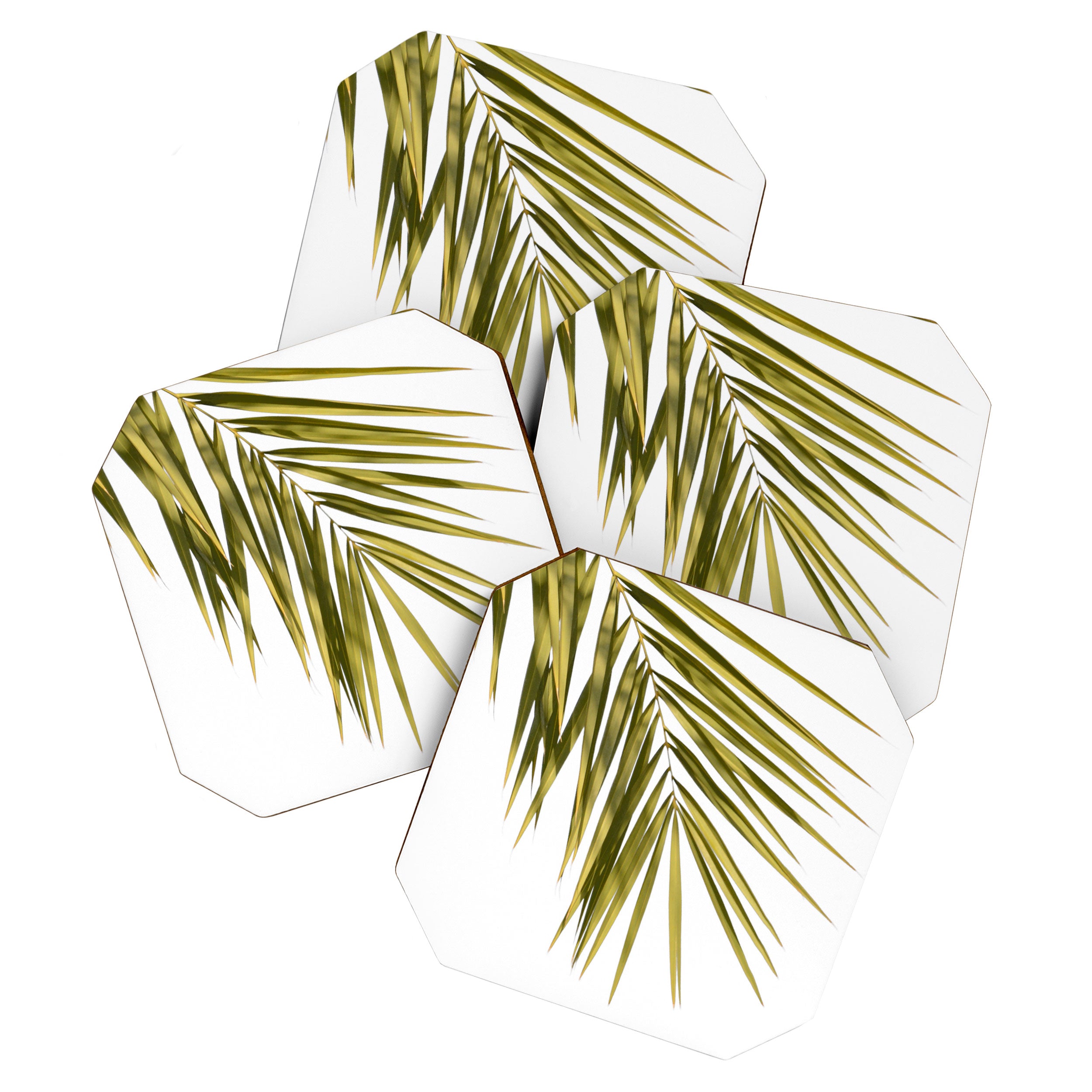 Palm Leaves V Coaster Gallery Image 1