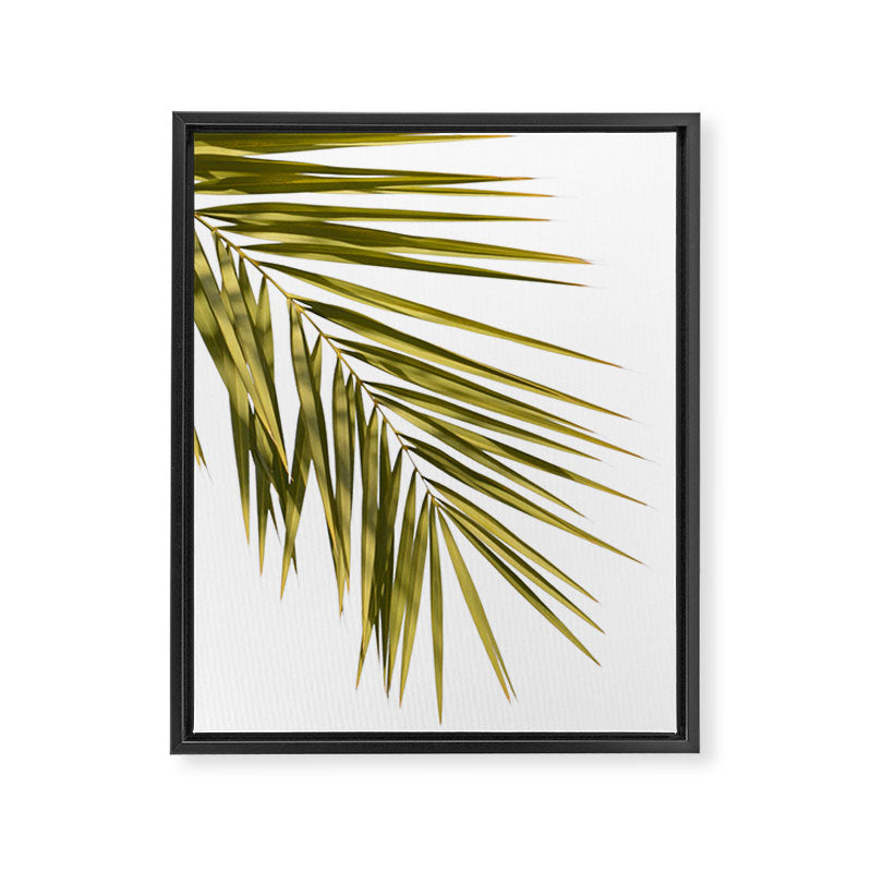 Palm Leaves V Framed Canvas Print Gallery Image 6