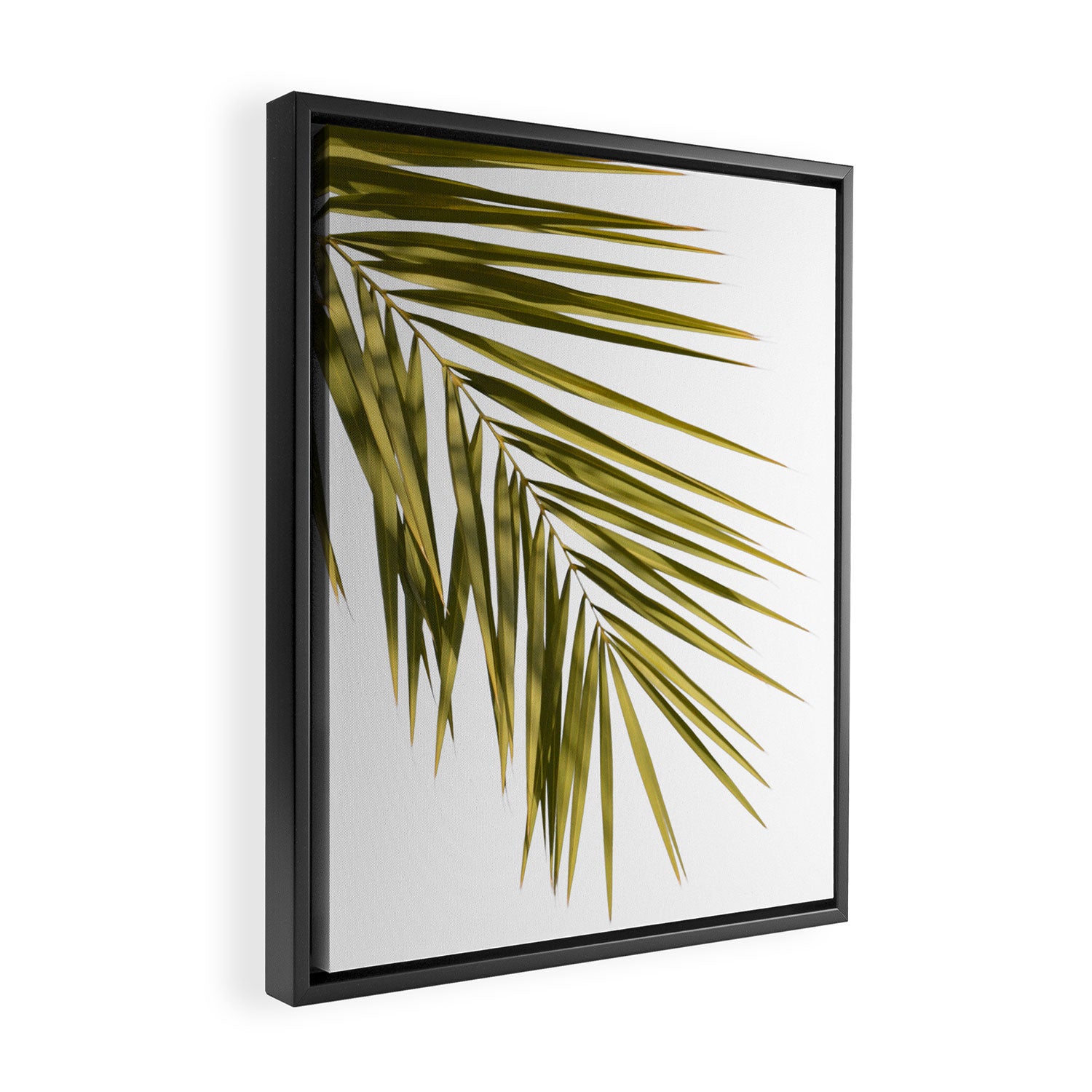 Palm Leaves V Framed Canvas Print Gallery Image 2