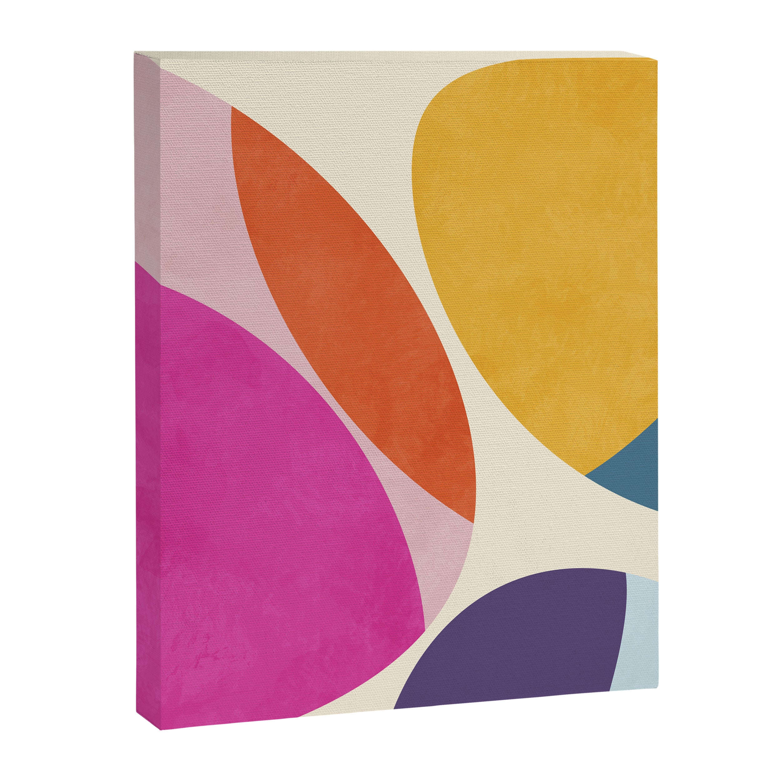 mid century modern semi-circles Canvas Print Gallery Image 8