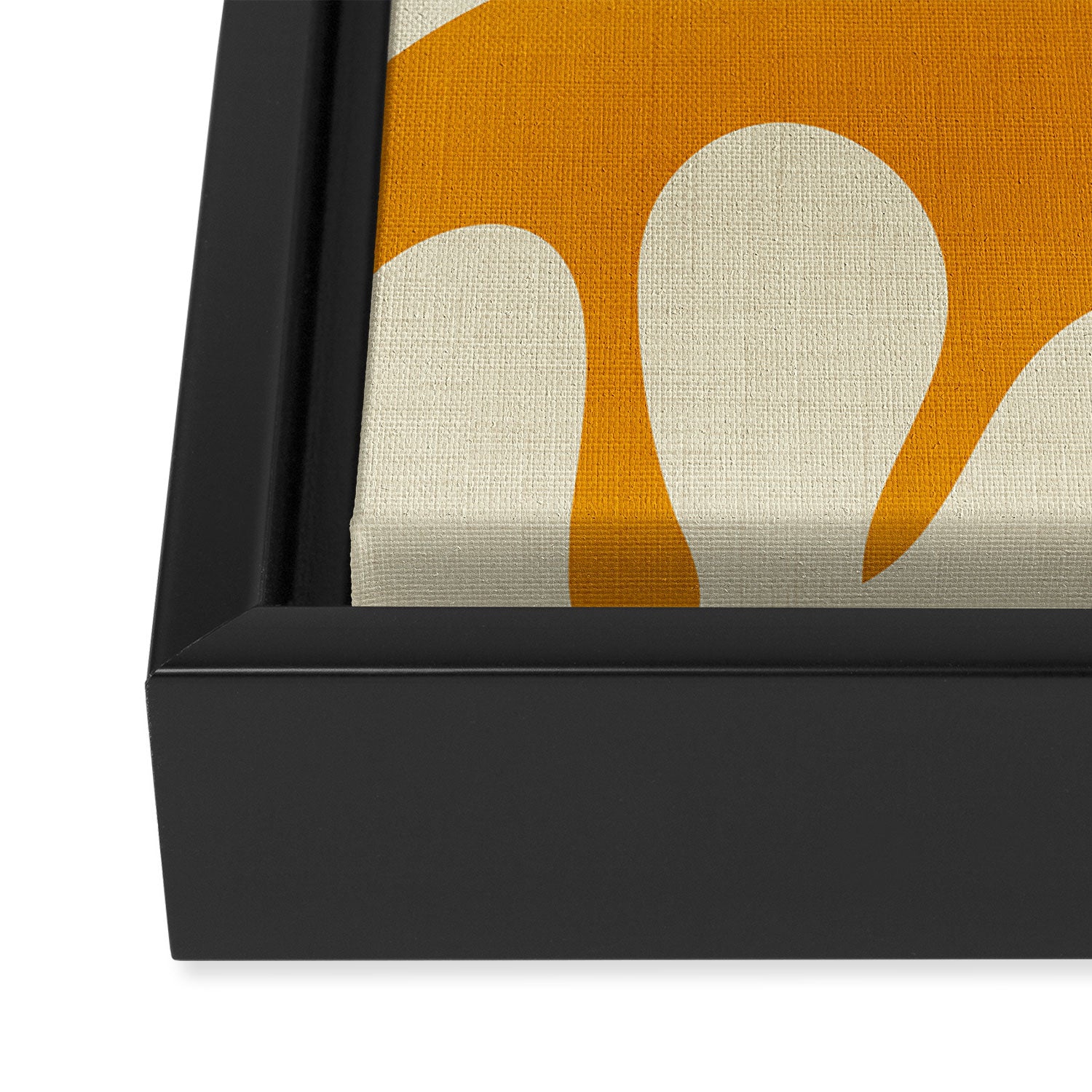 shapes organic matisse Framed Canvas Print Gallery Image 3
