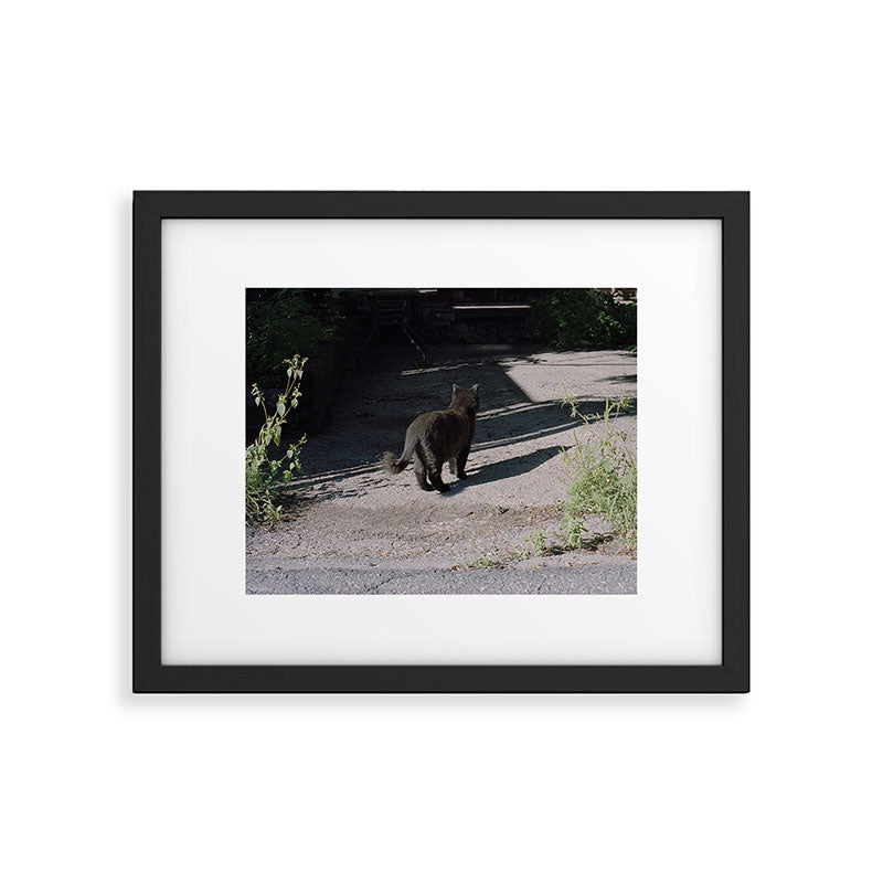 Black Alley Cat in the Sun, Montreal | 35mm Film Photography Framed Art Print Gallery Image 5