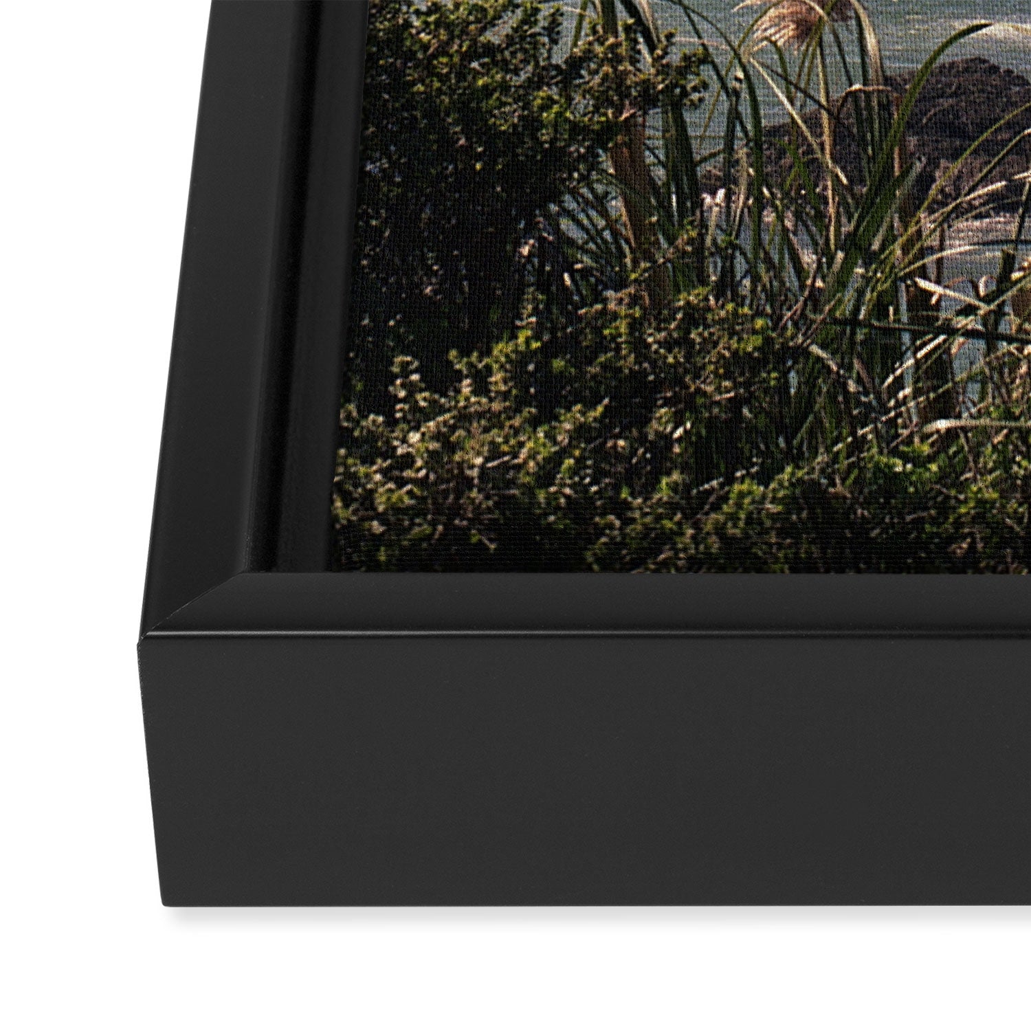 California Coast | 35mm Film Photography Framed Canvas Print Gallery Image 3