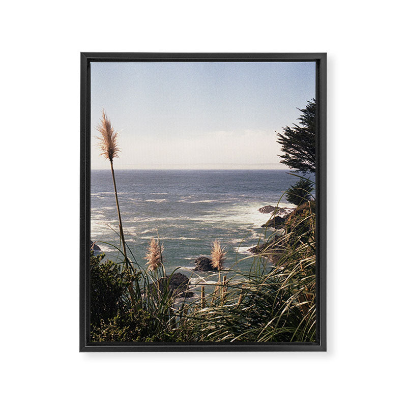 California Coast | 35mm Film Photography Framed Canvas Print Gallery Image 6
